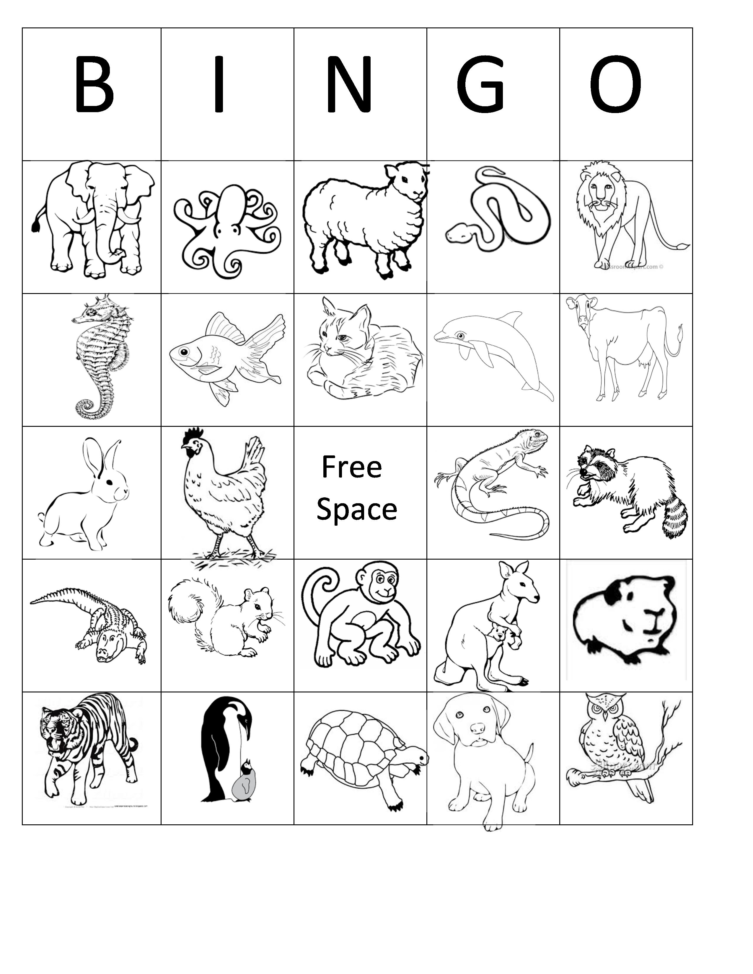 Featured image of post Animal Bingo Printable Black And White