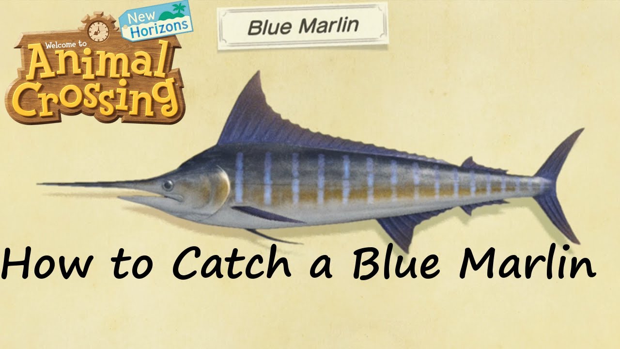 Featured image of post Animal Crossing New Horizons Blue Marlin Shadow