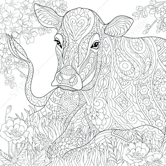 pix Coloring Sheet Cow Coloring Pages For Adults vectorstock