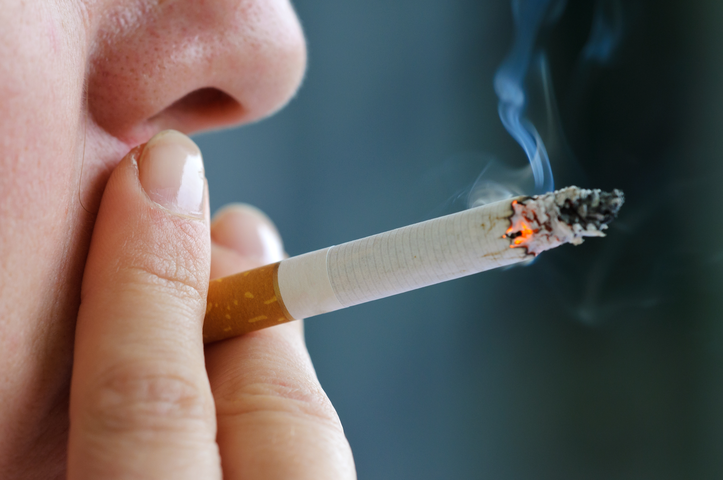 Featured image of post Effects Of Cigarette Smoking Pictures