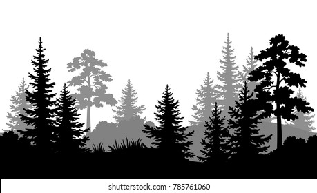 Featured image of post Forest Tree Outline