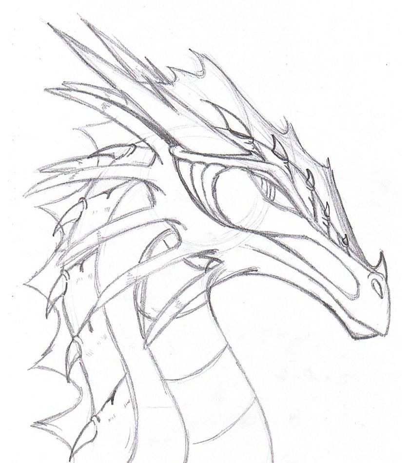 Featured image of post How To Draw A Water Dragon Head