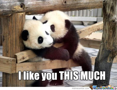 Featured image of post I Really Like You Meme For Her