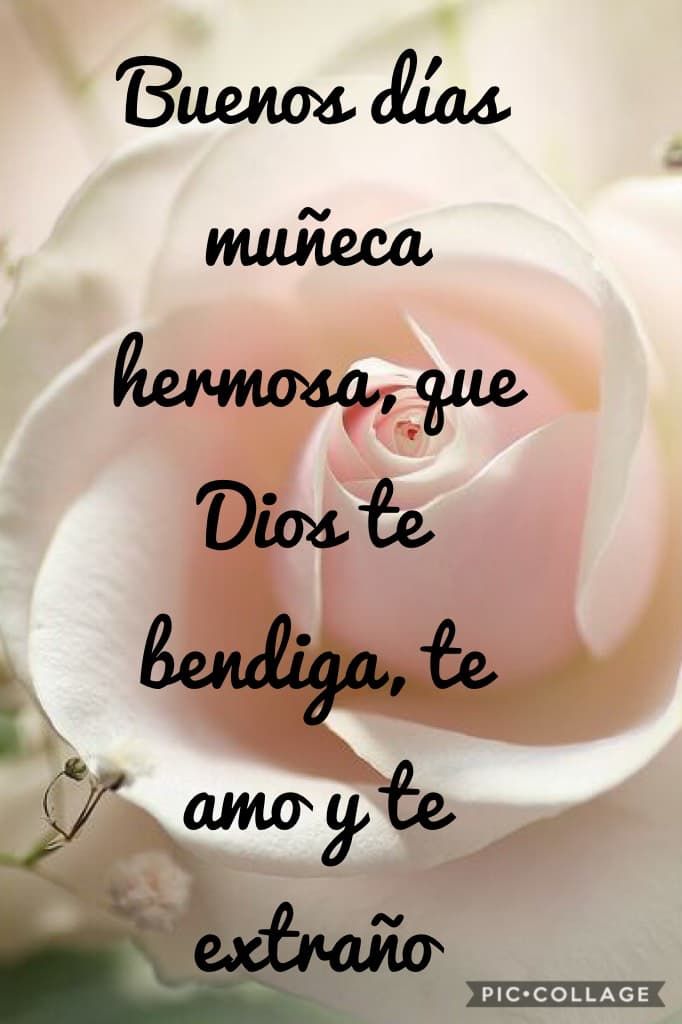 Featured image of post Imagenes De Buenos Dias Mi Amor Dios Te Bendiga