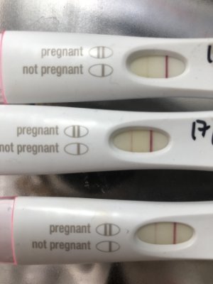 Featured image of post Implantation Bleeding 14 Dpo