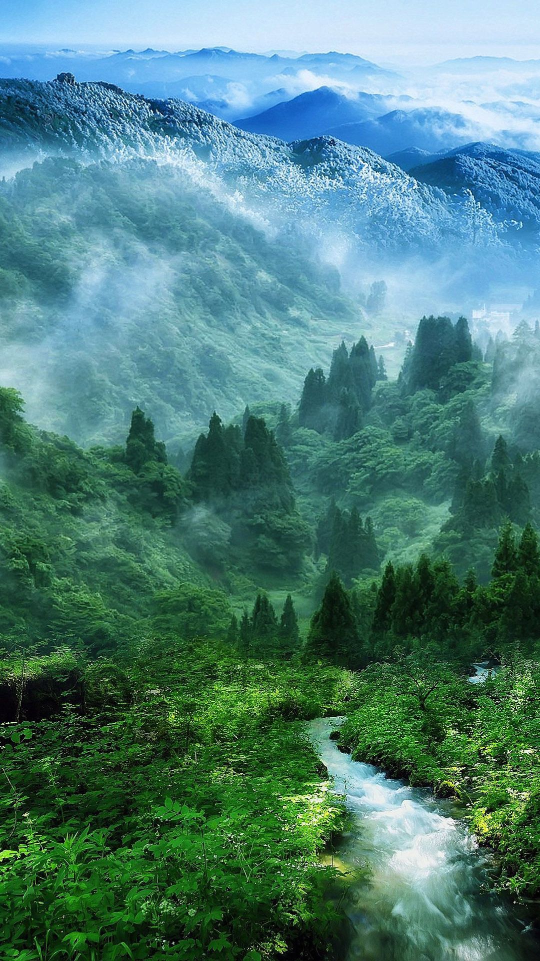 Featured image of post Iphone Wallpaper Forest River