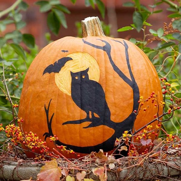 Featured image of post Pumpkin Painting Ideas For Adults