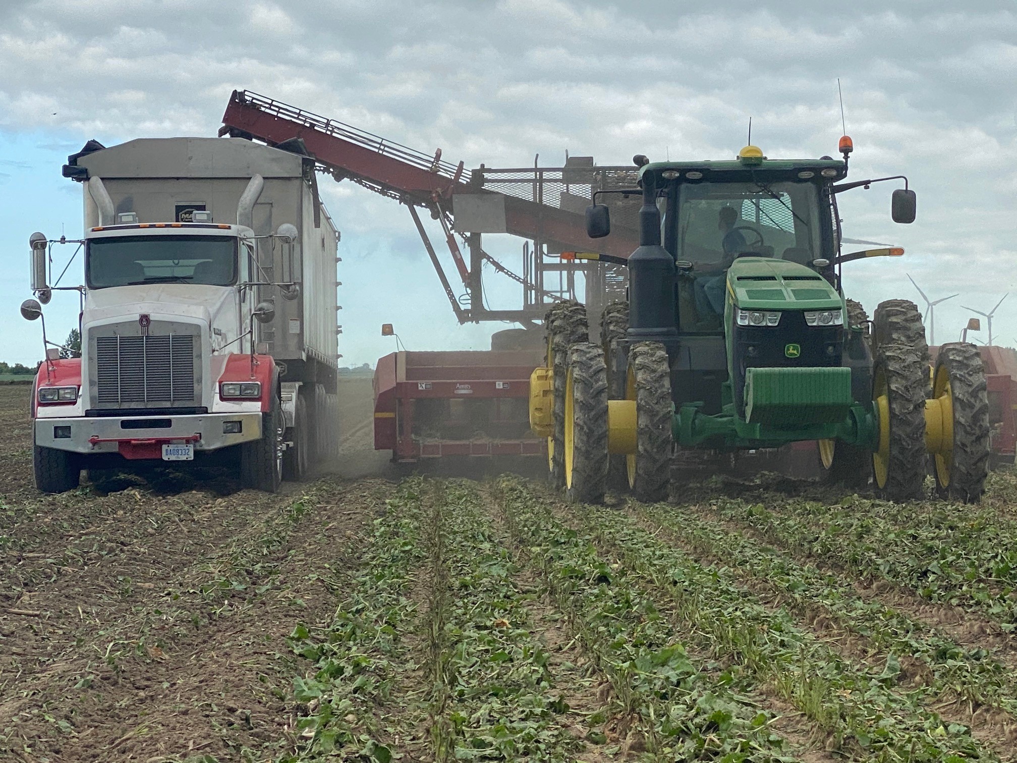 Featured image of post Sugar Beet Harvest 2020
