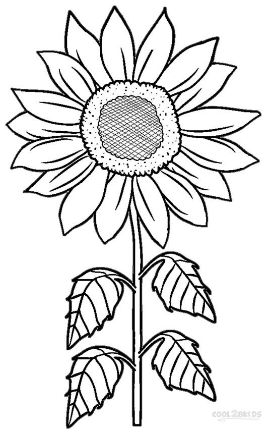 Featured image of post Sunflower Coloring Book Page