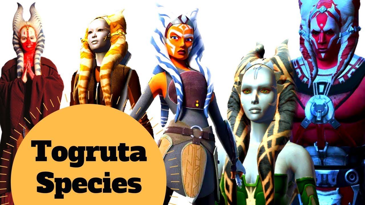 Featured image of post What Species Is Ahsoka Tano